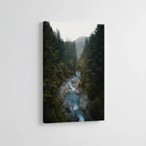 1.-Planinska-reka-u-uskom-kanjonu