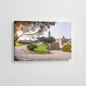 18.-Kalemegdan-Letnja-popodneva