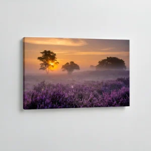 8.-Lavanda-u-magli-pri-izlasku-sunca