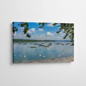 8.-Zemun-Labudovi-na-Dunavu