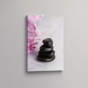 10.-Kamenje-i-ljubicasta-orhideja