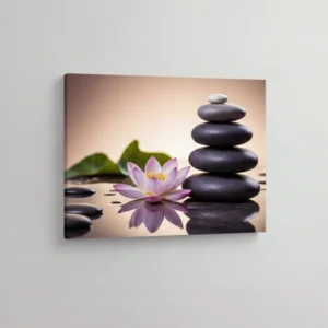 12.-Lotus-i-zen-kamenje