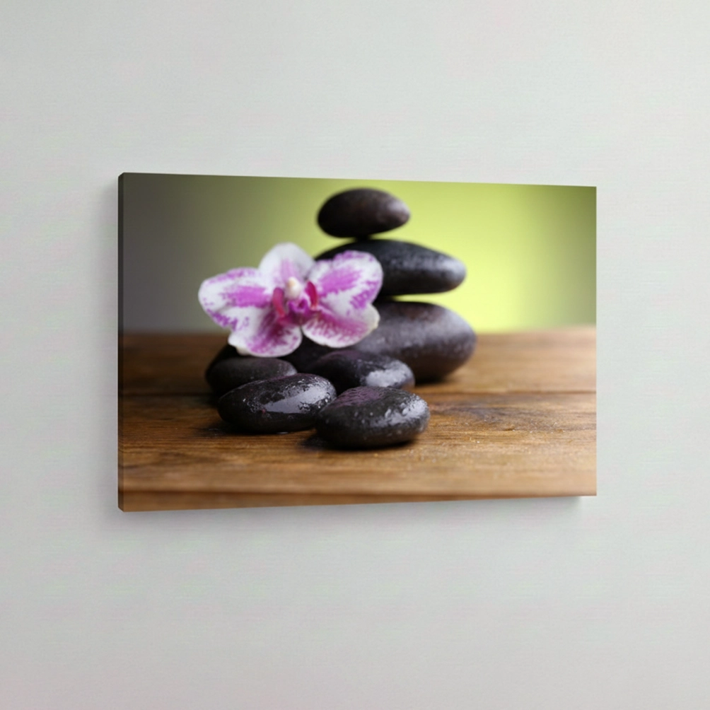 13.-Orhideja-na-spa-kamenju