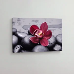 16.-Crvena-orhideja-na-kamenju