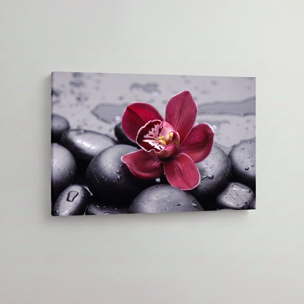 16.-Crvena-orhideja-na-kamenju