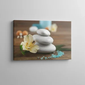 17.-Belo-kamenje-i-cvet