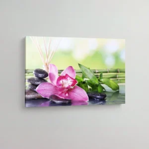 18.-Bambus-i-pink-orhideja