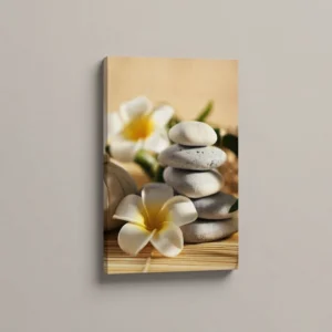 19.-Belo-kamenje-i-plumerija