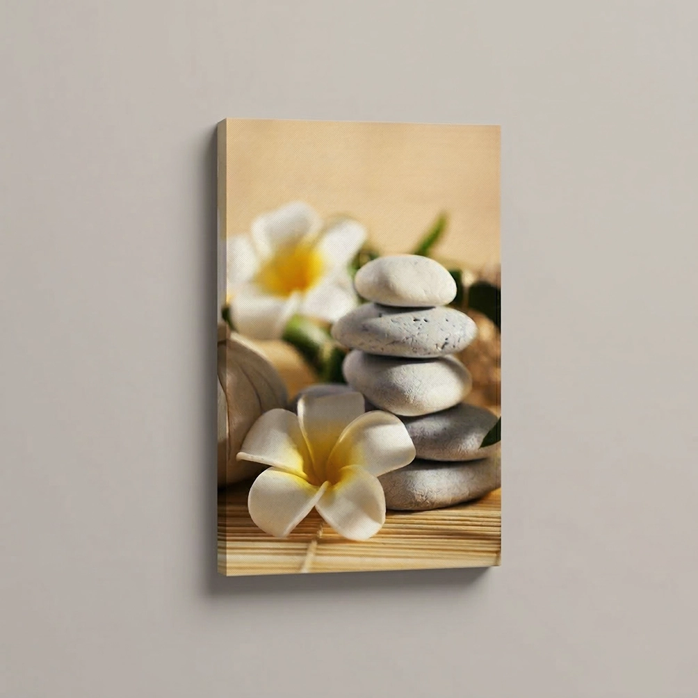 19.-Belo-kamenje-i-plumerija