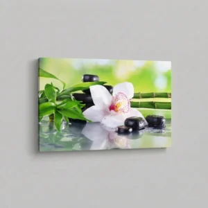 2.-Bambus-i-bela-orhideja