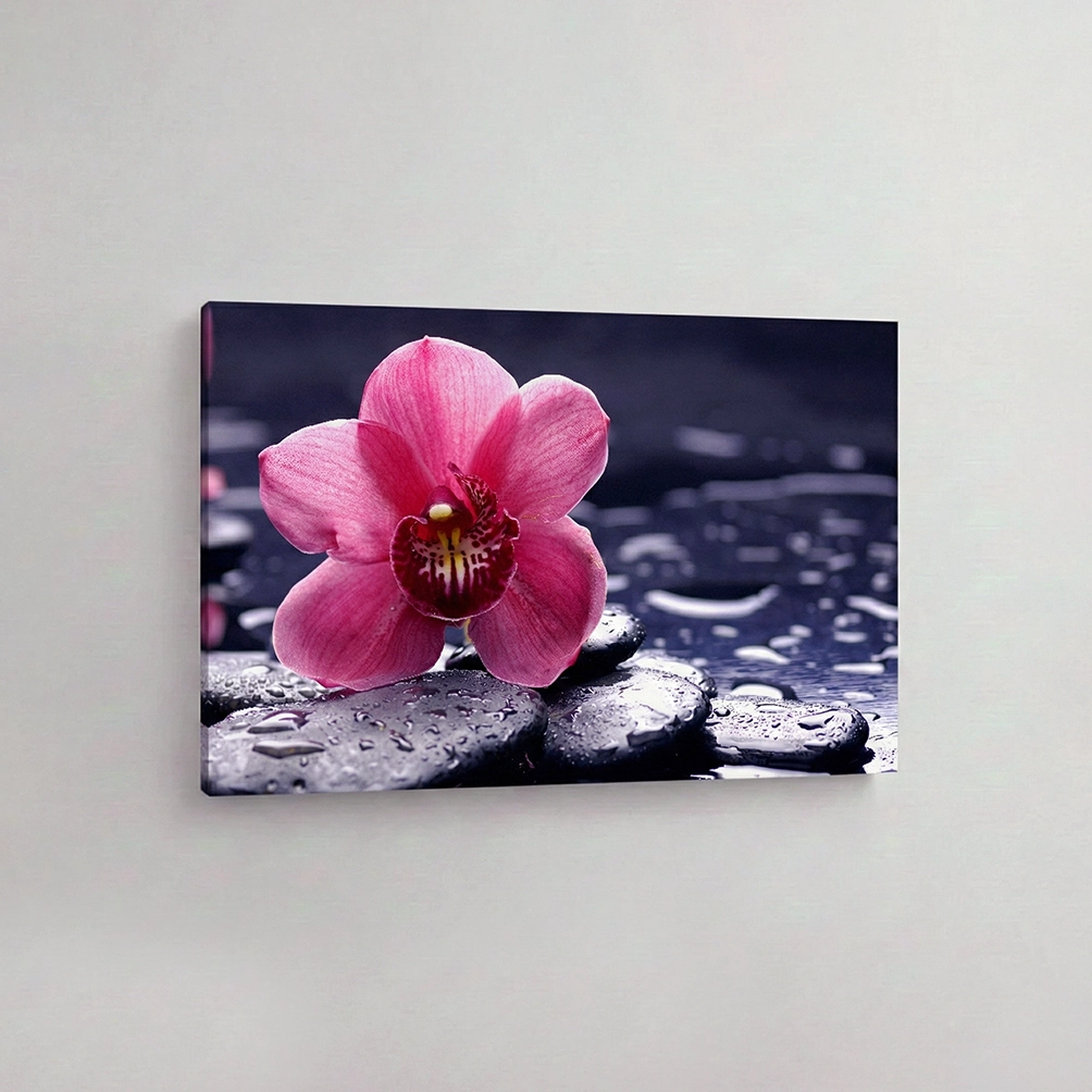 21.-Ruzicasta-orhideja-na-kamenju