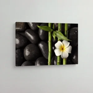 25.-Bambus-i-beli-cvet