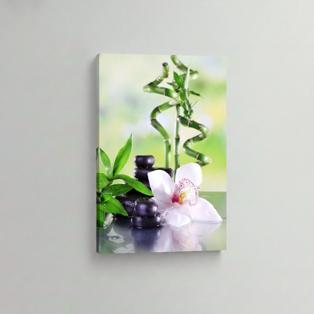 32.-Bambus-orhideja-i-kamenje