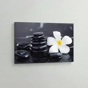 34.-Crno-kamenje-i-plumerija