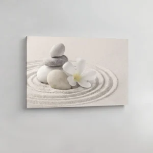 35.-Belo-kamenje-u-zen-pesku