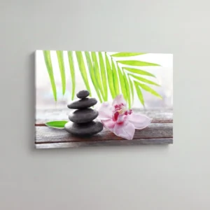 38.-Zen-kamenje-i-palma