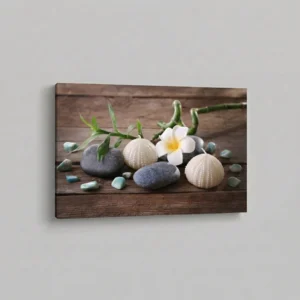 4.-Kamenje-i-plumerija