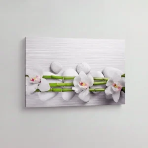 41.-Bambus-i-bele-orhideje