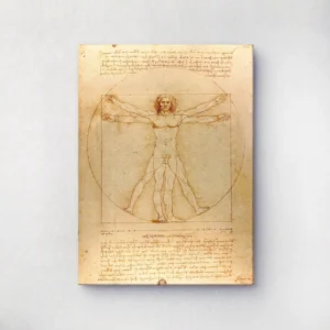 4. Vitruvian Man - Leonardo da Vinci